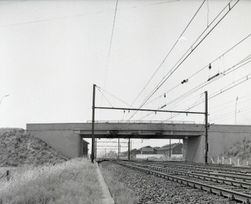 Forest-Midi - Z08156B (1).jpg
